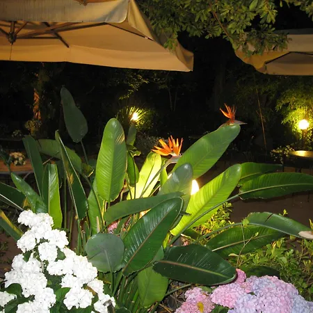 Hotel Miramare Lavagna